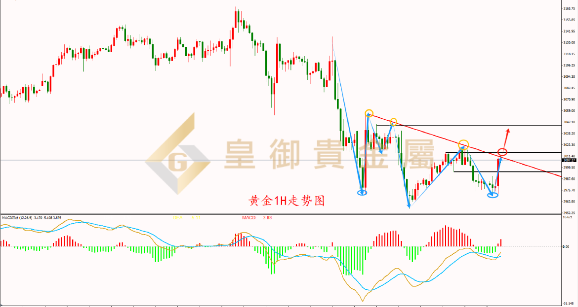 皇御黄金走势图