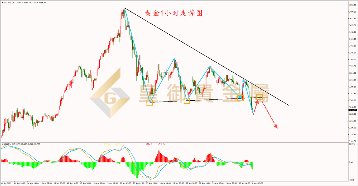 皇御黄金走势图 皇御黄金走势图