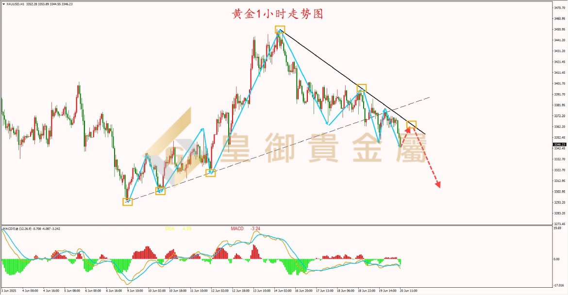 皇御黄金走势图 皇御黄金走势图
