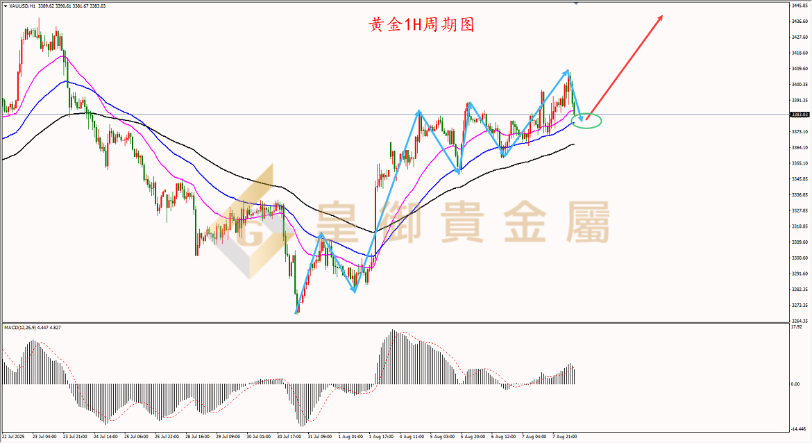 皇御黄金走势图