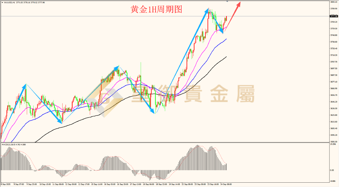 皇御黄金走势图 皇御黄金走势图