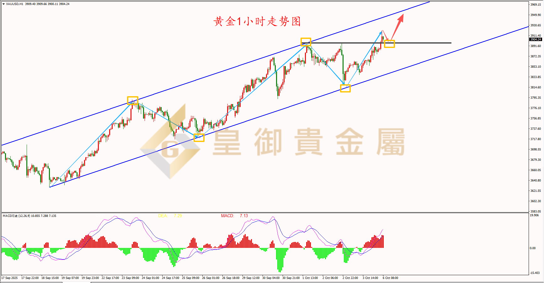 皇御黄金走势图 皇御黄金走势图