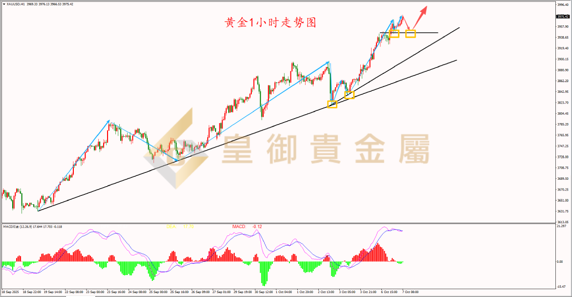 皇御黄金走势图 皇御黄金走势图