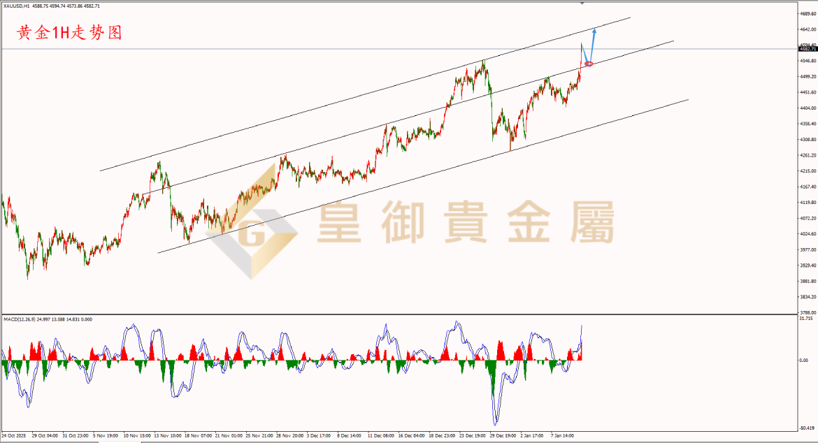 皇御黄金走势图