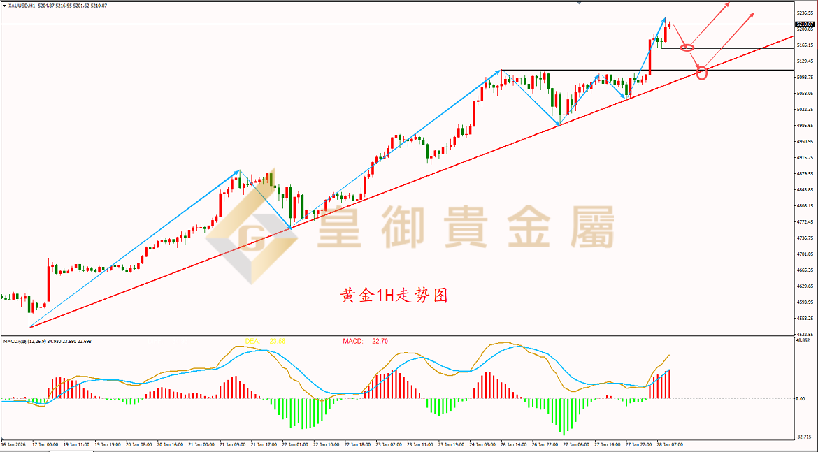 皇御黄金走势图