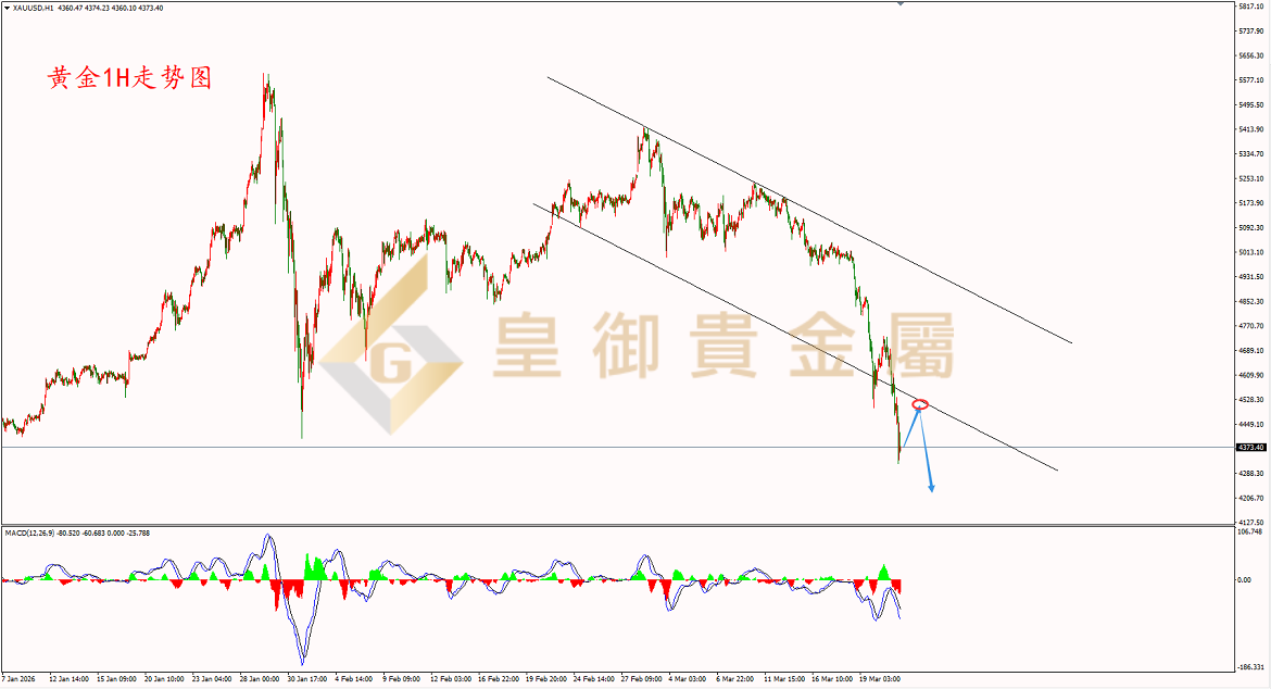 皇御黄金走势图