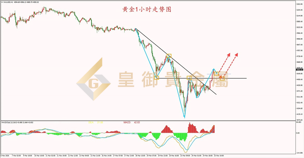 皇御黄金走势图