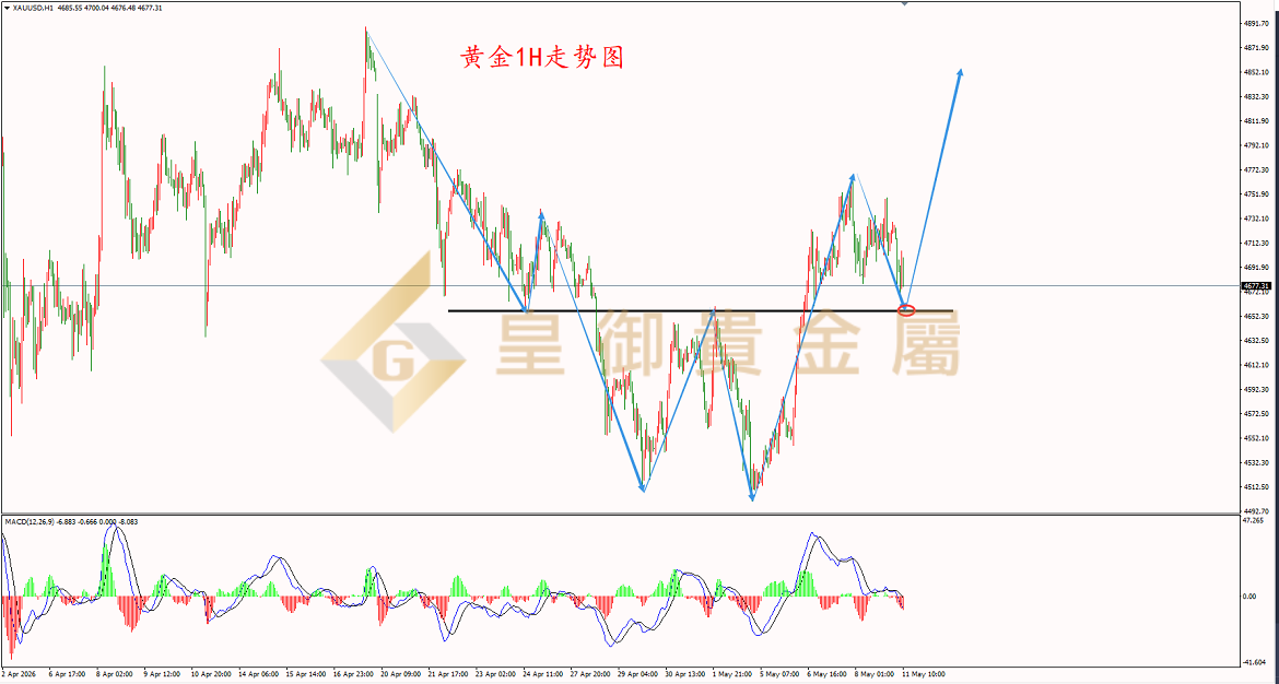 皇御黄金走势图