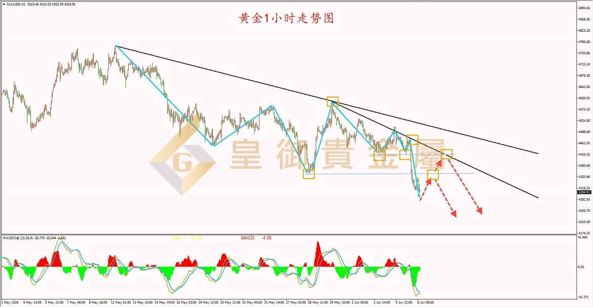 皇御黄金走势图 