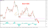 皇御黄金走势图